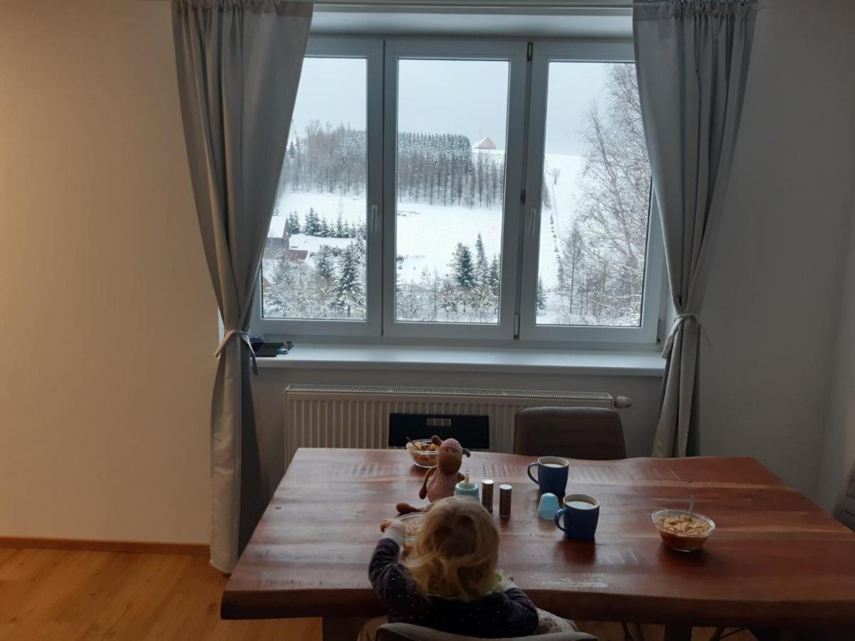 Apartman U Kunstatskeho Mlyna Orlicke Zahori Ngoại thất bức ảnh