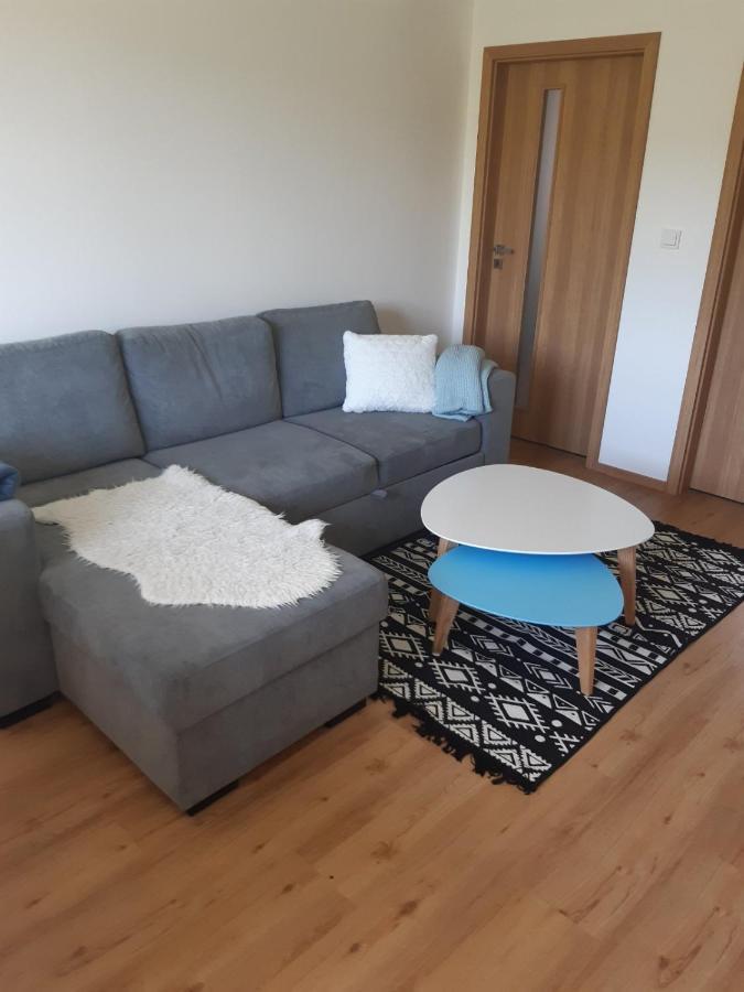 Apartman U Kunstatskeho Mlyna Orlicke Zahori Ngoại thất bức ảnh