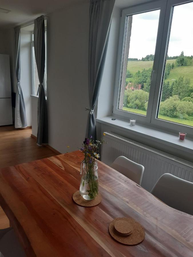 Apartman U Kunstatskeho Mlyna Orlicke Zahori Ngoại thất bức ảnh